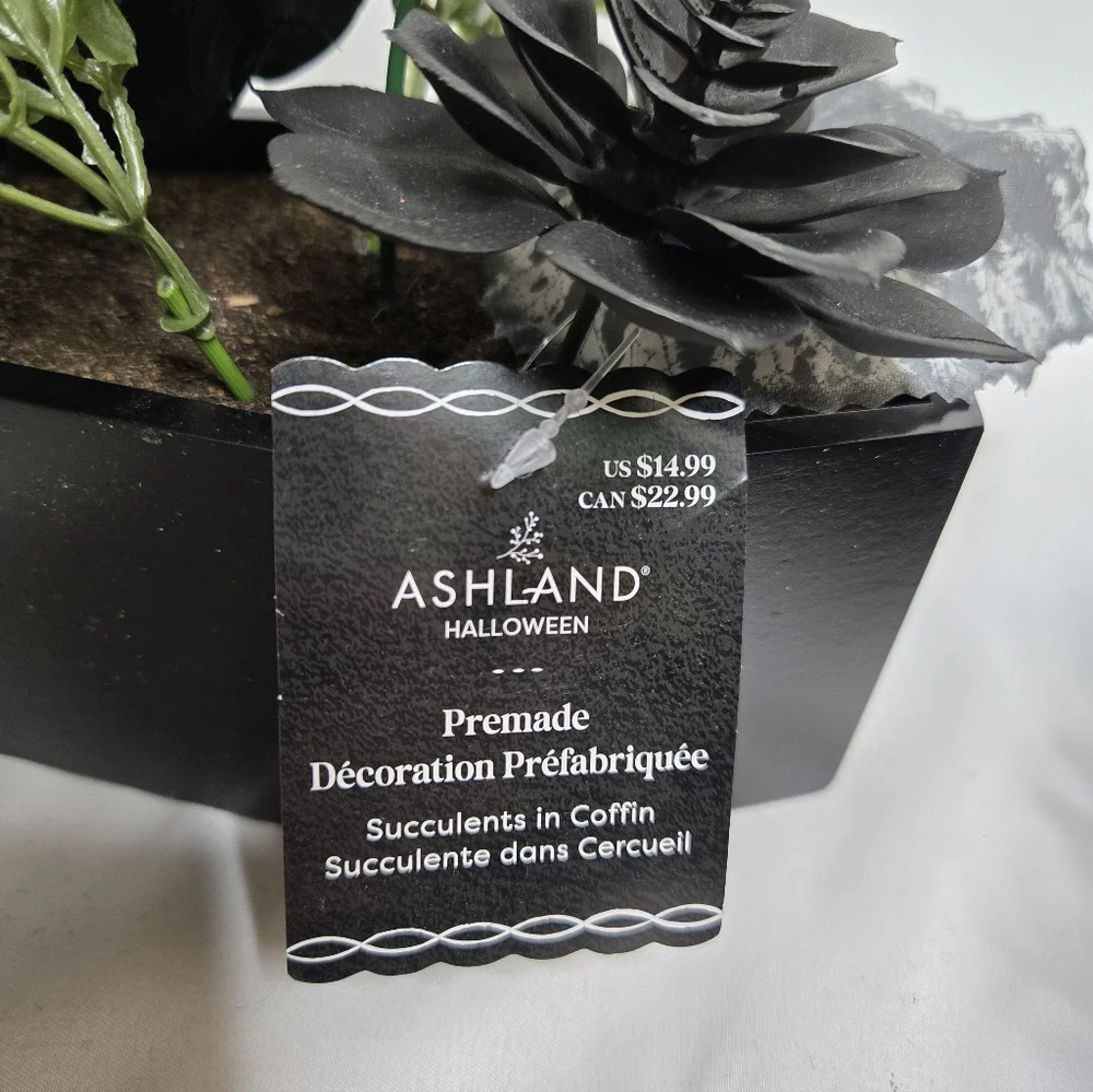 NEW Ashland Halloween premade goth succlents and flowers in‎ black coffin decor